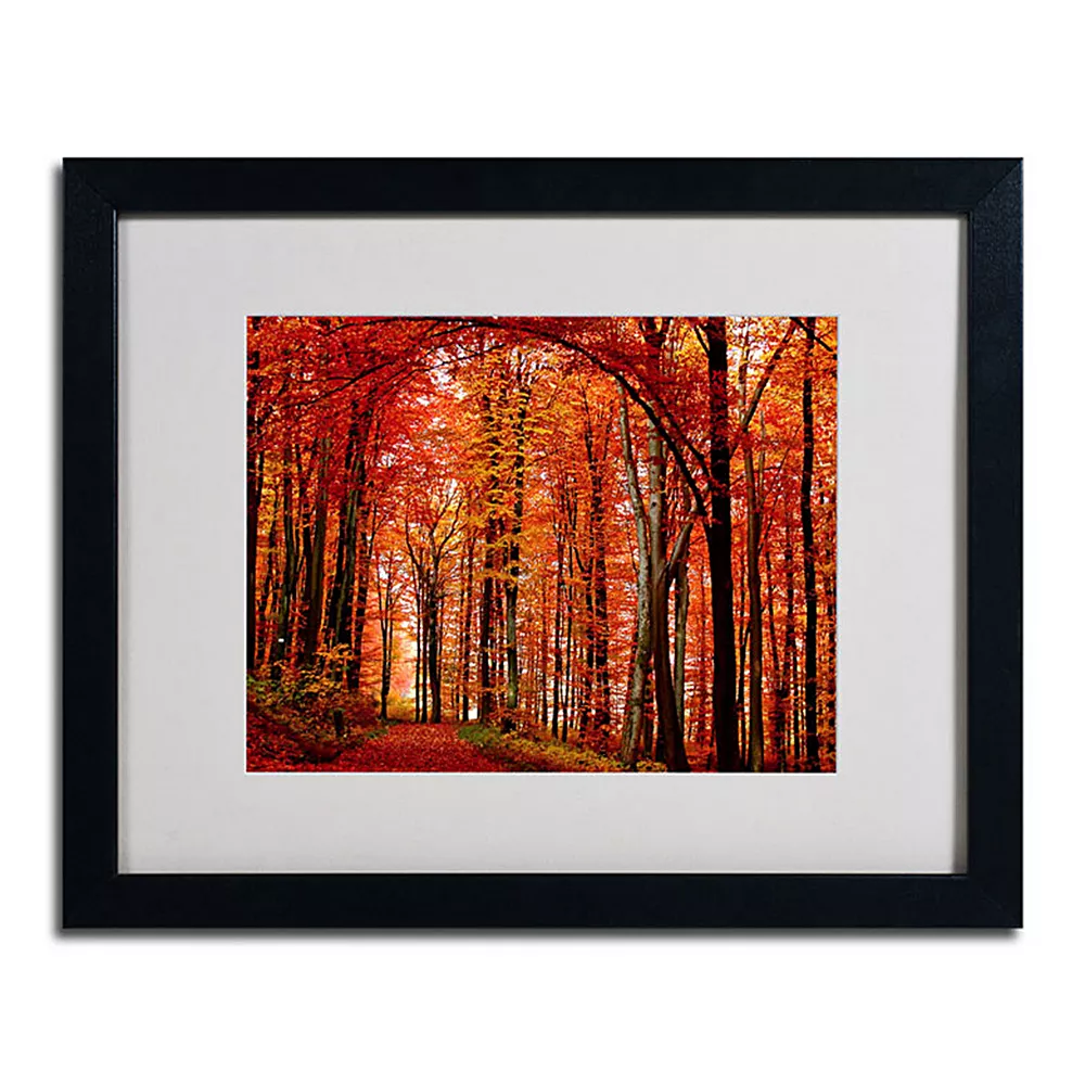 Trademark Fine Art 16'' X 20'' ''The Red Way'' Autumn Framed Canvas Wall Art 1 Trademark Fine Art 16'' X 20'' ''The Red Way'' Autumn Framed Canvas Wall Art