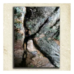 Personal-Prints ''Nature'' Alphabet Wall Art