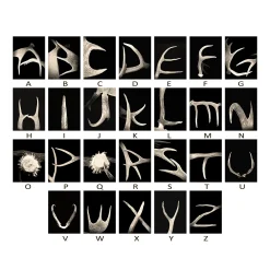 Personal-Prints ''Antler'' Alphabet Wall Art -Kohl's Sales 2055445 ALT2