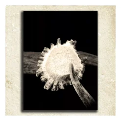 Personal-Prints ''Antler'' Alphabet Wall Art