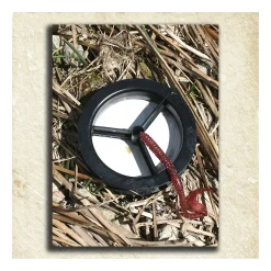 Personal-Prints ''Fishing'' Alphabet Wall Art