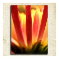 Personal-Prints ''Flower'' Alphabet Wall Art