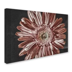Trademark Fine Art "Silvery Pink" Canvas Wall Art -Kohl's Sales 2195330 ALT2