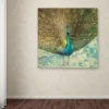 Trademark Fine Art "Teal Peacock On Gold" Canvas Wall Art By Danhui Nai
