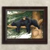 Personal-Prints ''Cozy Bears'' Framed Wall Art