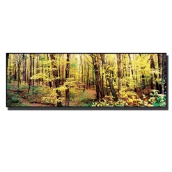 Trademark Fine Art ''Trees'' Canvas Wall Art