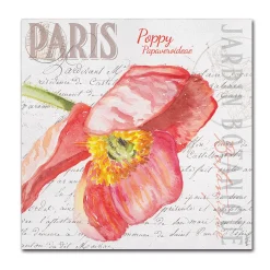 Trademark Fine Art Paris Botanique Red Poppy Canvas Wall Art