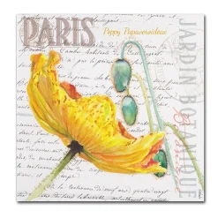 Trademark Fine Art Paris Botanique Yellow Poppy Canvas Wall Art