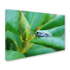 Trademark Fine Art Balance Canvas Wall Art -Kohl's Sales 2595687 ALT2