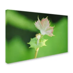 Trademark Fine Art Beginning Canvas Wall Art -Kohl's Sales 2595919 ALT2