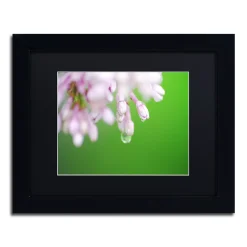 Trademark Fine Art Pure Framed Wall Art