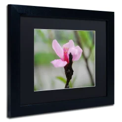 Trademark Fine Art Simplicity Framed Wall Art -Kohl's Sales 2614608 ALT2