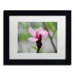Trademark Fine Art Simplicity Framed Wall Art