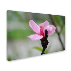 Trademark Fine Art Simplicity Canvas Wall Art -Kohl's Sales 2614617 ALT2