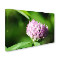 Trademark Fine Art Vindictive Lust Canvas Wall Art -Kohl's Sales 2616586 ALT2