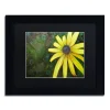 Trademark Fine Art Black Eyed Susan Black Framed Wall Art