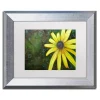 Trademark Fine Art Black Eyed Susan Silver Finish Framed Wall Art