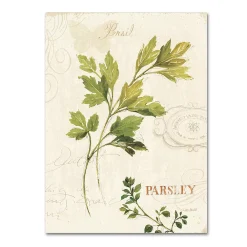 Trademark Fine Art Aromantique I Canvas Wall Art