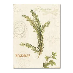 Trademark Fine Art Aromantique II Canvas Wall Art