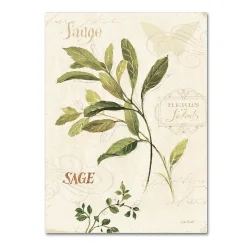 Trademark Fine Art Aromantique IV Canvas Wall Art