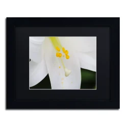 Trademark Fine Art Adore You Black Framed Wall Art