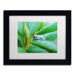 Trademark Fine Art Balance Black Framed Wall Art