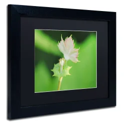 Trademark Fine Art Beginning Black Framed Wall Art -Kohl's Sales 2630981 ALT2