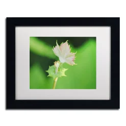 Trademark Fine Art Beginning Black Framed Wall Art
