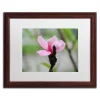 Trademark Fine Art Simplicity Matted Framed Wall Art