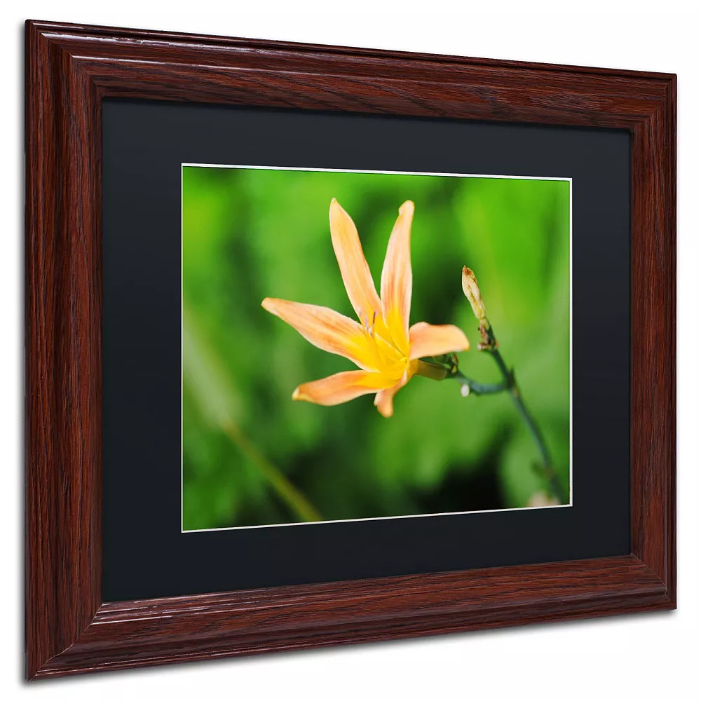 Trademark Fine Art Sweet Spice Matted Framed Wall Art 3 Trademark Fine Art Sweet Spice Matted Framed Wall Art - Image 3