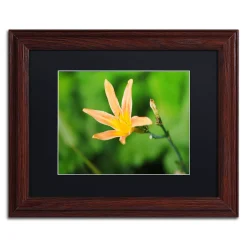 Trademark Fine Art Sweet Spice Matted Framed Wall Art