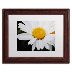 Trademark Fine Art Sweet Splendor Matted Framed Wall Art