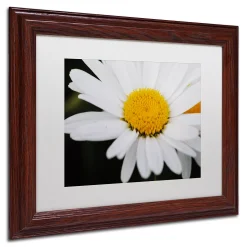 Trademark Fine Art Sweet Splendor Matted Framed Wall Art -Kohl's Sales 2632930 ALT2