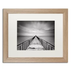 Trademark Fine Art Withstand Light Finish Framed Wall Art