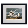 Trademark Fine Art Tropic Bird Black Framed Wall Art