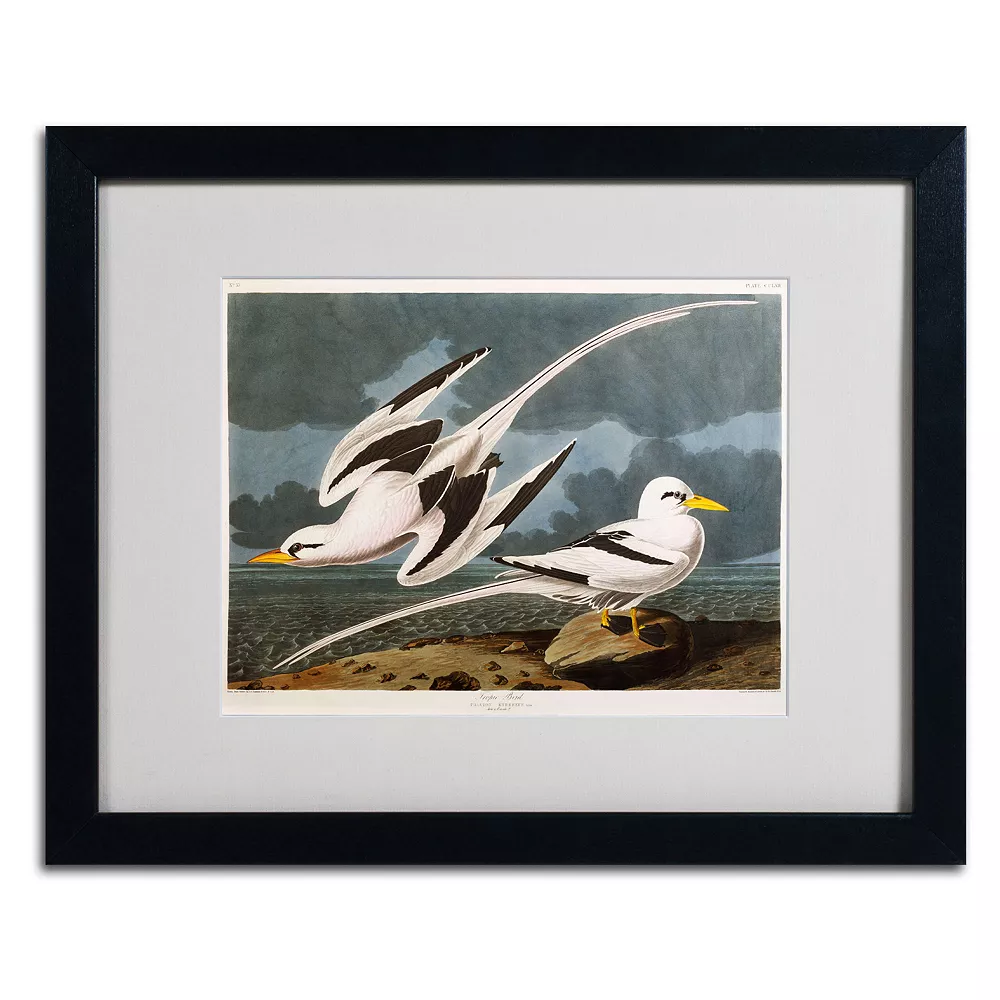 Trademark Fine Art Tropic Bird Black Framed Wall Art 1 Trademark Fine Art Tropic Bird Black Framed Wall Art