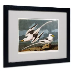 Trademark Fine Art Tropic Bird Black Framed Wall Art 8 Trademark Fine Art Tropic Bird Black Framed Wall Art -Kohl's Sales 2706688 ALT3