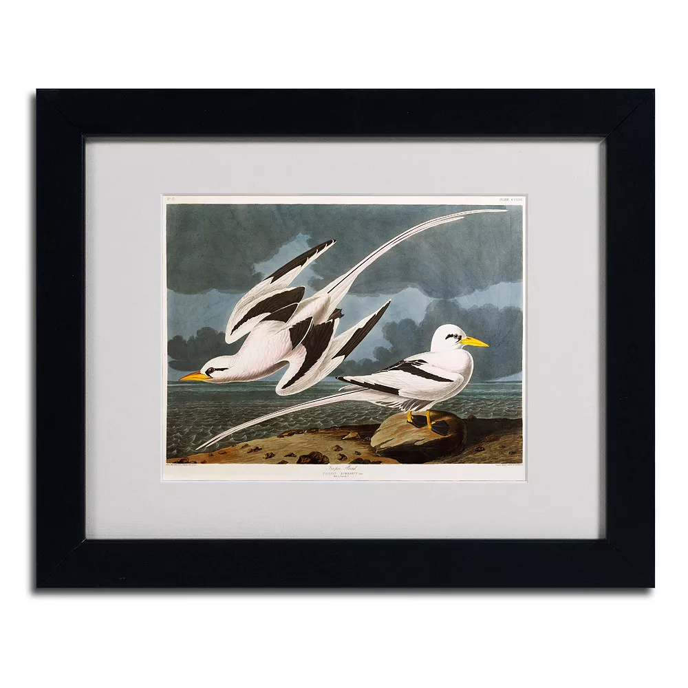 Trademark Fine Art Tropic Bird Black Framed Wall Art 5 Trademark Fine Art Tropic Bird Black Framed Wall Art - Image 5