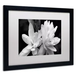 Trademark Fine Art Tuber Rose In Black And White Framed Wall Art 8 Trademark Fine Art Tuber Rose In Black And White Framed Wall Art -Kohl's Sales 2708699 ALT3