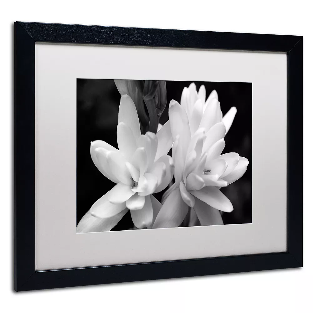 Trademark Fine Art Tuber Rose In Black And White Framed Wall Art 4 Trademark Fine Art Tuber Rose In Black And White Framed Wall Art - Image 4