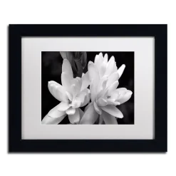 Trademark Fine Art Tuber Rose In Black And White Framed Wall Art 9 Trademark Fine Art Tuber Rose In Black And White Framed Wall Art -Kohl's Sales 2708699 ALT4