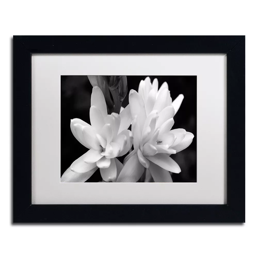 Trademark Fine Art Tuber Rose In Black And White Framed Wall Art 5 Trademark Fine Art Tuber Rose In Black And White Framed Wall Art - Image 5