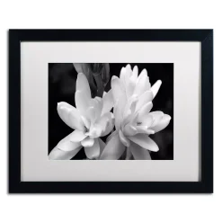 Trademark Fine Art Tuber Rose In Black And White Framed Wall Art