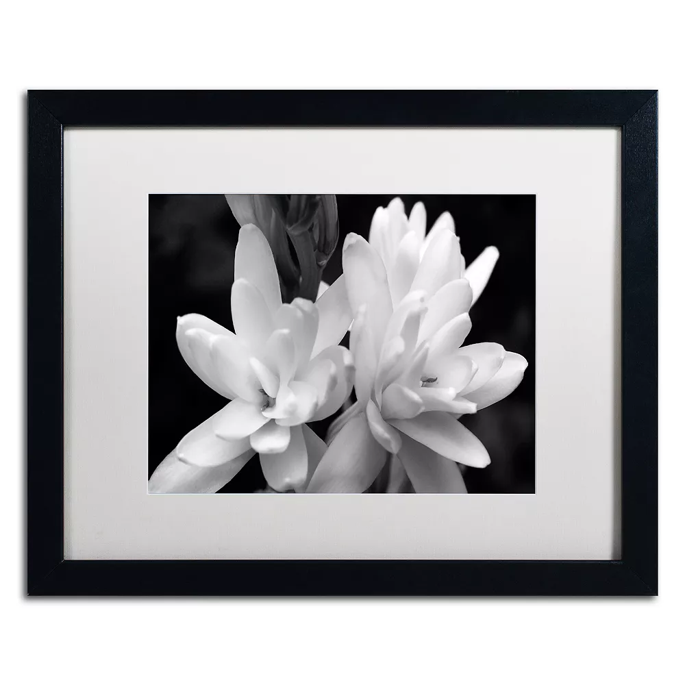 Trademark Fine Art Tuber Rose In Black And White Framed Wall Art 1 Trademark Fine Art Tuber Rose In Black And White Framed Wall Art