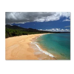 Trademark Fine Art "Makena Maui" Canvas Wall Art