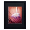 Trademark Fine Art "Access To Desires" Black Framed Wall Art