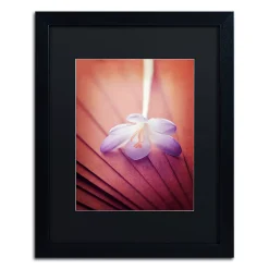 Trademark Fine Art "Access To Desires" Black Framed Wall Art