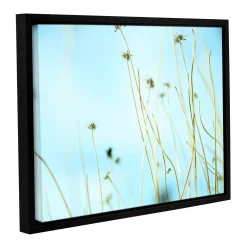 ArtWall 30 Second Daydream Framed Wall Art
