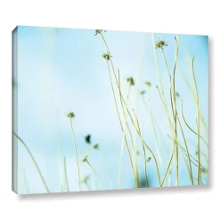 ArtWall 30 Second Daydream Canvas Wall Art