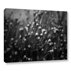 ArtWall Anticipation Of Canvas Wall Art